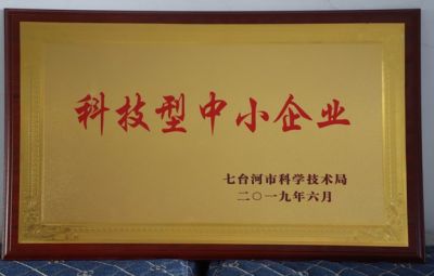 石墨烯公司被七臺(tái)河市科學(xué)技術(shù)局授予科技型中小企業(yè)稱號(hào)